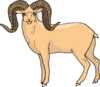 Staring Bighorn Sheep Clip Art